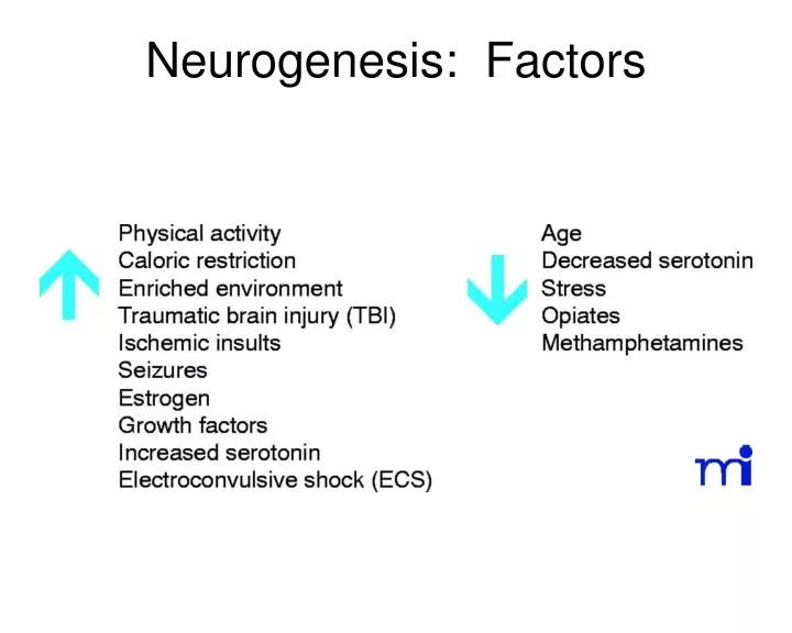 neurogenesis factors