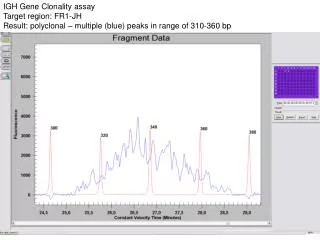 IGH Gene Clonality assay Target region: FR1-JH