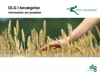 dlg i bev gelse