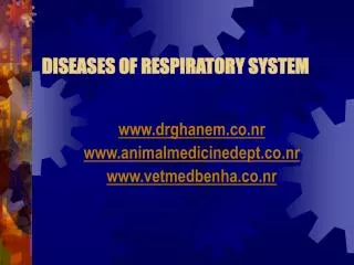 DISEASES OF RESPIRATORY SYSTEM