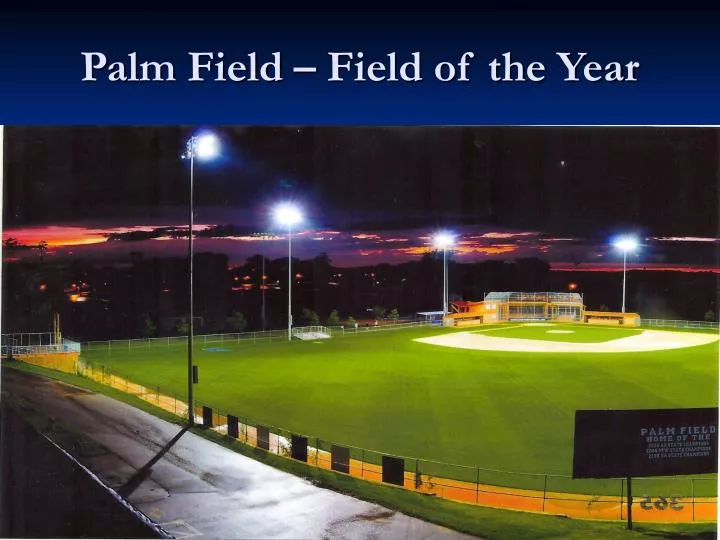 palm field field of the year