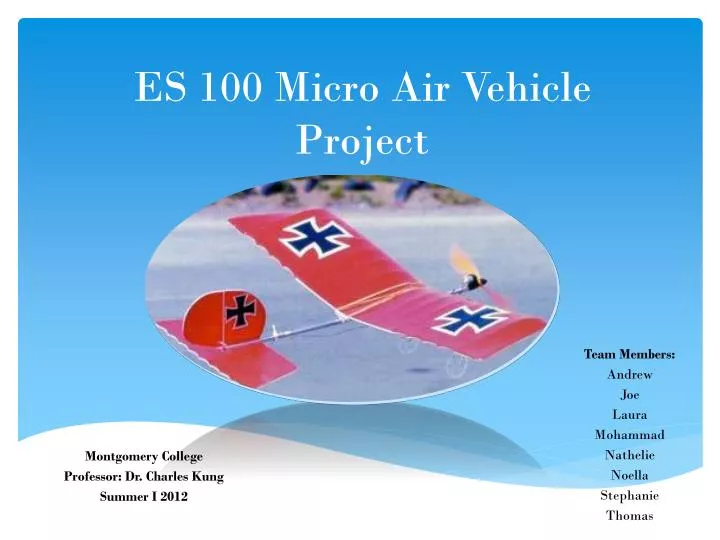 es 100 micro air vehicle project