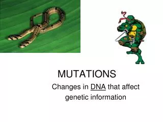 MUTATIONS