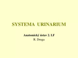 systema urinarium