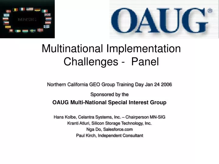 multinational implementation challenges panel