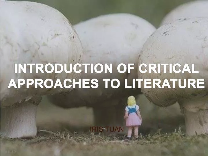 introduction of critical approaches to literature