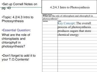 Set up Cornell Notes on pg. 43 Topic: 4.2/4.3 Intro to Photosynthesis Essential Question :