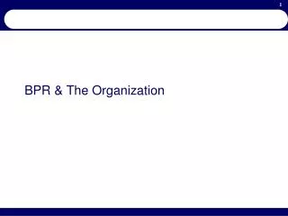 BPR &amp; The Organization