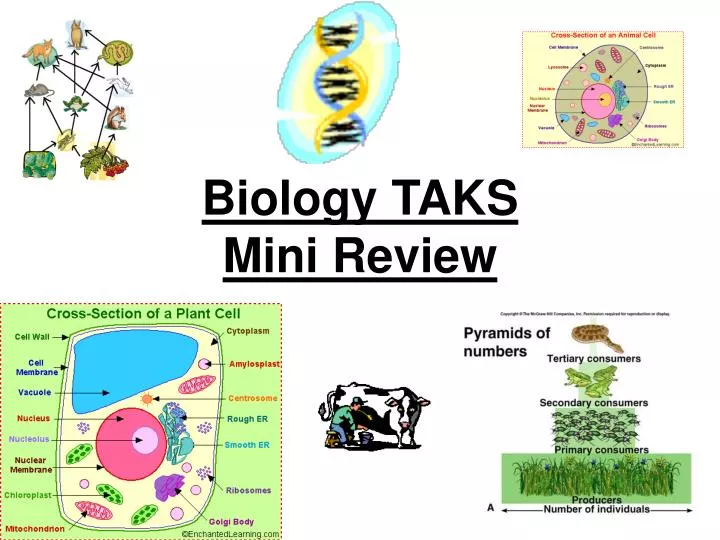 biology taks mini review