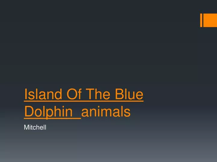 island of the blue dolphin animals