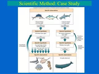 Scientific Method: Case Study