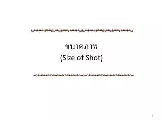 size of shot