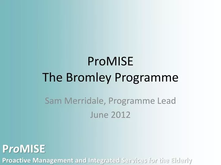 promise the bromley programme