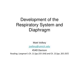 Development of the Respiratory System and Diaphragm