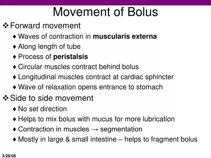 movement of bolus