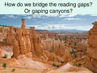 How do we bridge the reading gaps? Or gaping canyons?