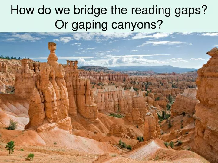 how do we bridge the reading gaps or gaping canyons