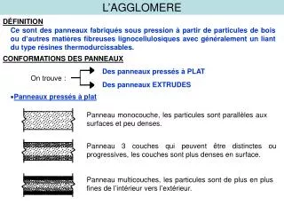 l agglomere