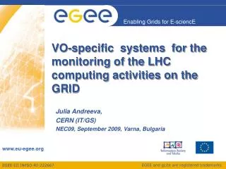 VO-specific systems for the monitoring of the LHC computing activities on the GRID