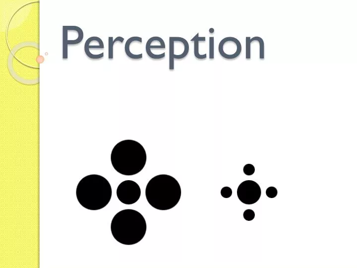 perception