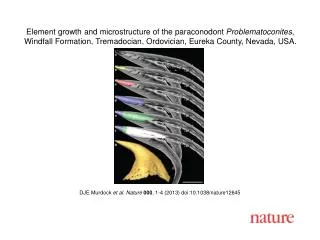 DJE Murdock et al. Nature 000 , 1-4 (2013) doi:10.1038/nature12645