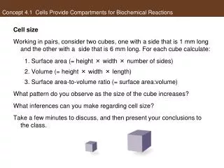 Concept 4.1 Cells Provide Compartments for Biochemical Reactions