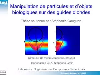 manipulation de particules et d objets biologiques sur des guides d ondes