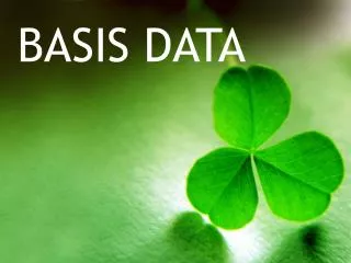 basis data