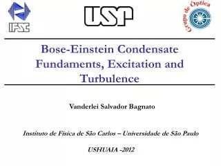 Bose-Einstein Condensate Fundaments, Excitation and Turbulence