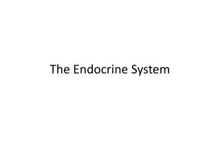 the endocrine system