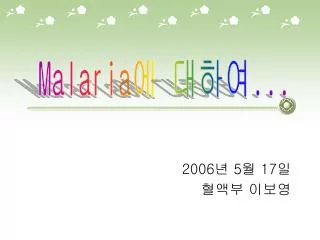 2006 5 17