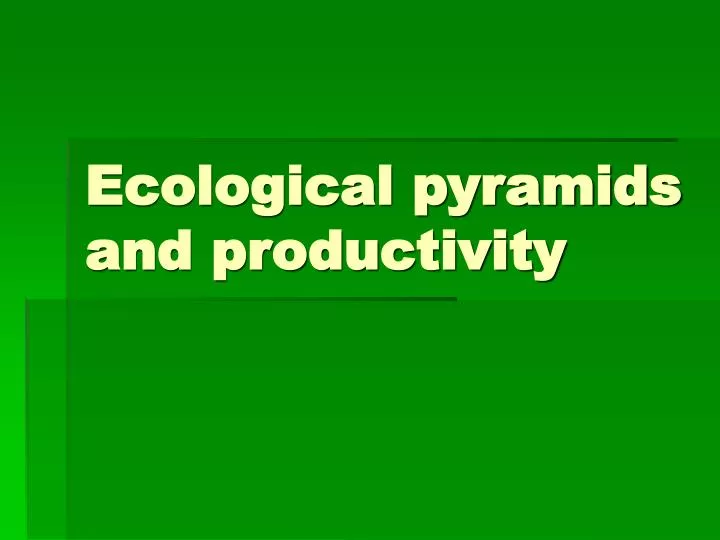 ecological pyramids and productivity