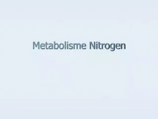 metabolisme nitrogen