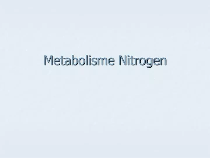 metabolisme nitrogen
