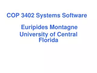 COP 3402 Systems Software