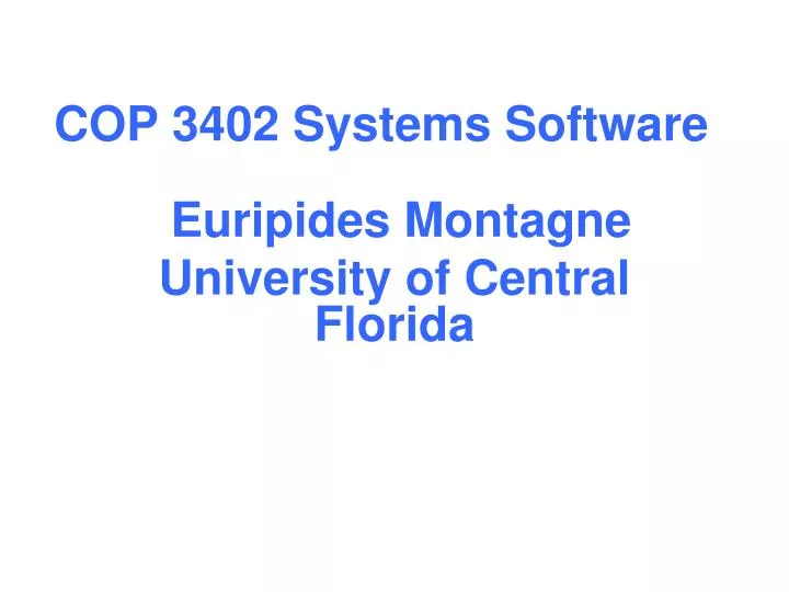 cop 3402 systems software