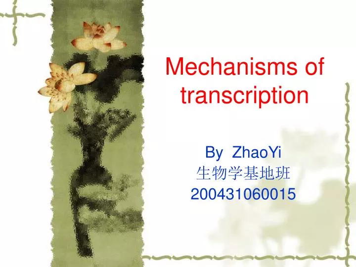 mechanisms of transcription