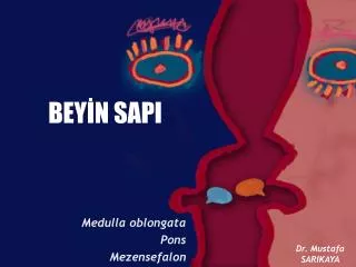 bey n sapi