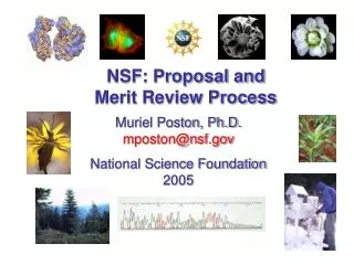 NSF: Proposal and Merit Review Process