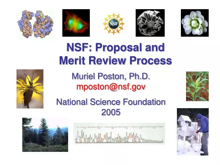 nsf proposal and merit review process