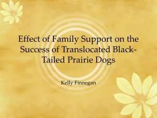 Effect of Family Support on the Success of Translocated Black-Tailed Prairie Dogs