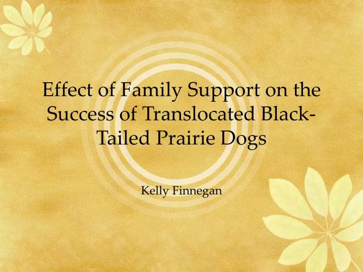 effect of family support on the success of translocated black tailed prairie dogs