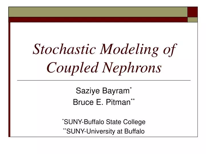 stochastic modeling of coupled nephrons