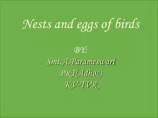 Nests and eggs of birds BY: Smt.A.Parameswari PRT( Adhoc ) KV-TVR