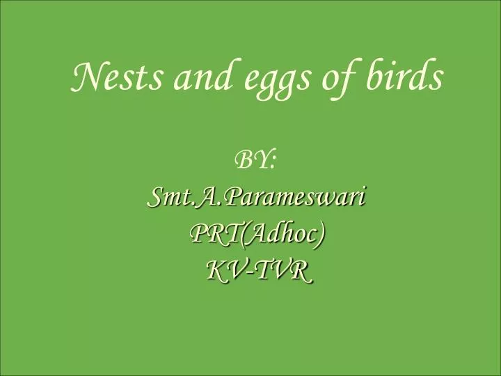 nests and eggs of birds by smt a parameswari prt adhoc kv tvr