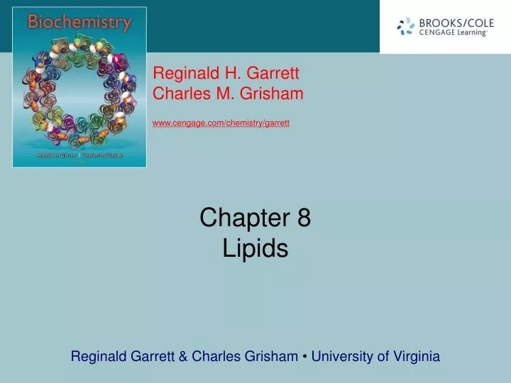 chapter 8 lipids