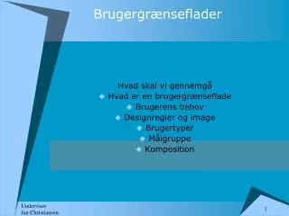 brugergr nseflader