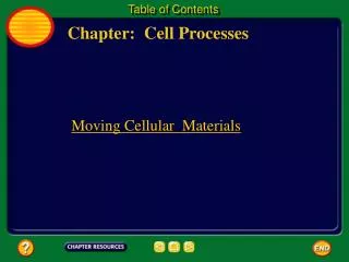 Chapter: Cell Processes