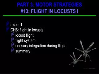 exam 1 CH6: flight in locusts locust flight flight system sensory integration during flight