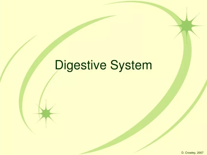 digestive system